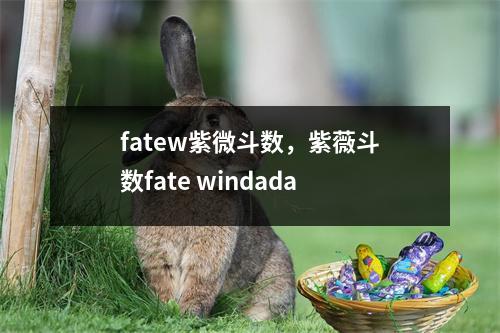 fatew紫微斗数，紫薇斗数fate windada