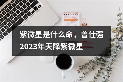 紫微星是什么命，曾仕强2023年天降紫微星