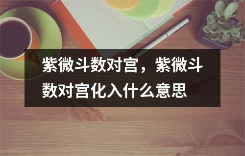 紫微斗数对宫，紫微斗数对宫化入什么意思