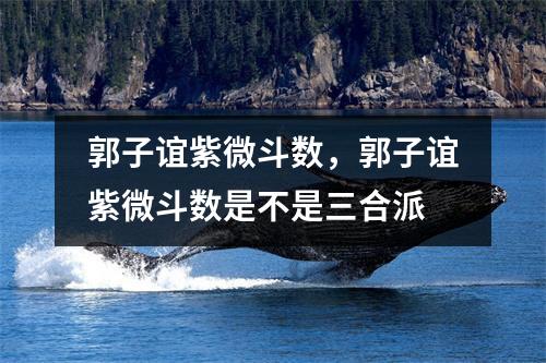 郭子谊紫微斗数，郭子谊紫微斗数是不是三合派