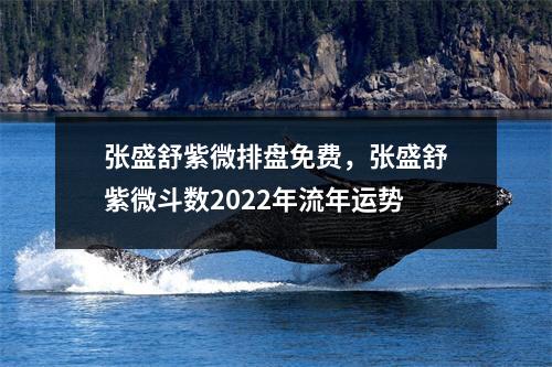 张盛舒紫微排盘免费，张盛舒紫微斗数2022年流年运势