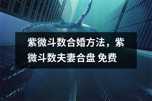 紫微斗数合婚方法，紫微斗