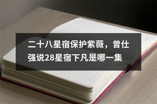 二十八星宿保护紫薇，曾仕强说28星宿下凡是哪一集