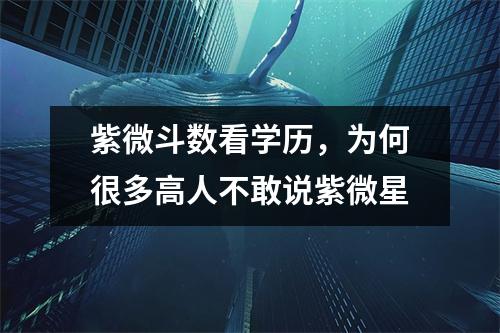 紫微斗数看学历，为何很多高人不敢说紫微星