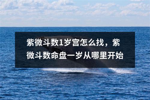 紫微斗数1岁宫怎么找，紫微斗数命盘一岁从哪里开始