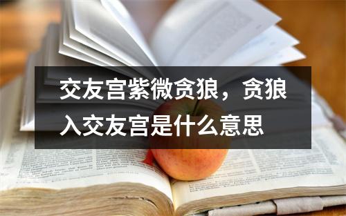 交友宫紫微贪狼，贪狼入交友宫是什么意思