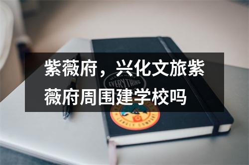 紫薇府，兴化文旅紫薇府周围建学校吗