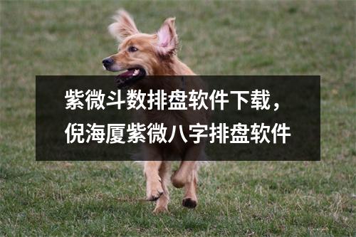 紫微斗数排盘软件，倪海厦紫微八字排盘软件