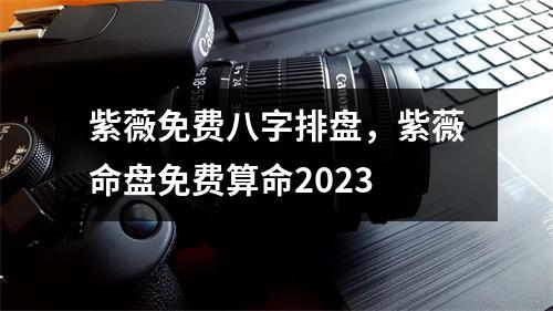 紫薇免费八字排盘，紫薇命盘免费算命2023