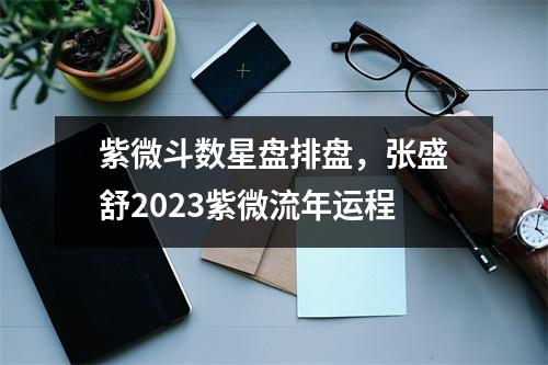 紫微斗数星盘排盘，张盛舒2023紫微流年运程