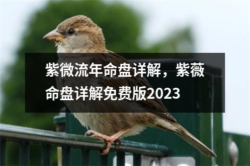 紫微流年命盘详解，紫薇命盘详解免费版2023