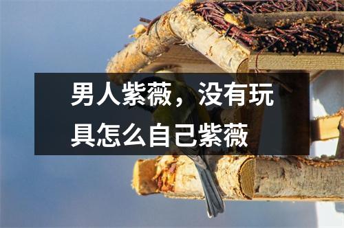 男人紫薇，没有玩具怎么自己紫薇