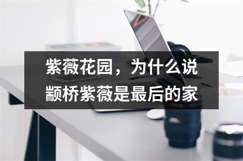 紫薇花园，为什么说颛桥紫薇是后的家