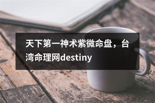 天下第一神术紫微命盘，命理网destiny