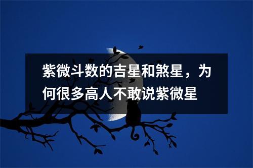 紫微斗数的吉星和煞星，为何很多高人不敢说紫微星