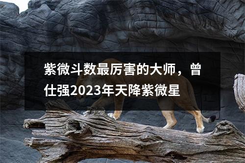 紫微斗数厉害的大师，曾仕强2023年天降紫微星