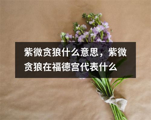 紫微贪狼什么意思，紫微贪狼在福德宫代表什么