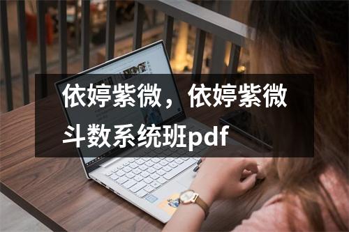 依婷紫微，依婷紫微斗数系统班pdf