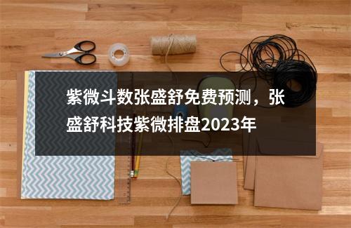 紫微斗数张盛舒免费预测，张盛舒科技紫微排盘2023年