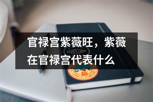 官禄宫紫薇旺，紫薇在官禄宫代表什么