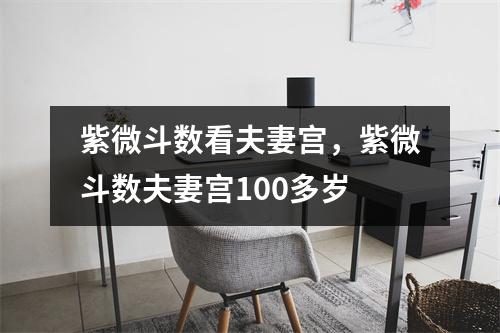 紫微斗数看夫妻宫，紫微斗数夫妻宫100多岁