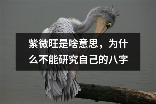 紫微旺是啥意思，为什么不能研究自己的八字