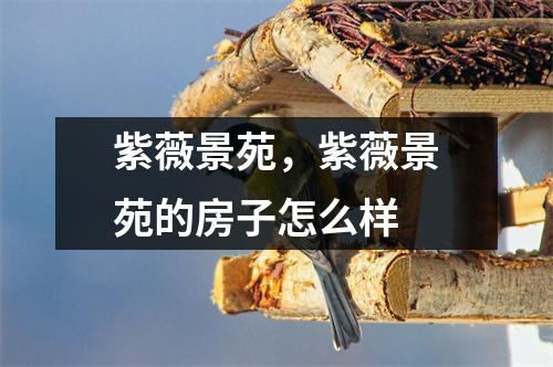 紫薇景苑，紫薇景苑的房子怎么样