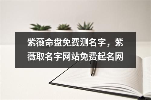 紫薇命盘免费测名字，紫薇