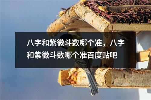 八字和紫微斗数哪个准，八字和紫微斗数哪个准贴吧