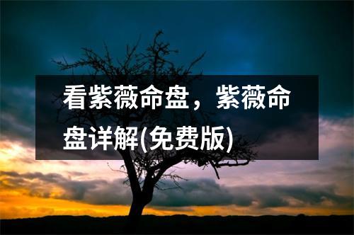 看紫薇命盘，紫薇命盘详解(免费版)