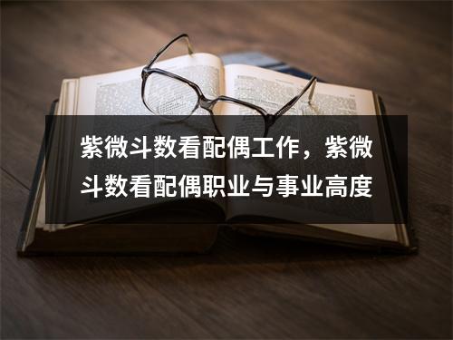 紫微斗数看配偶工作，紫微斗数看配偶职业与事业高度