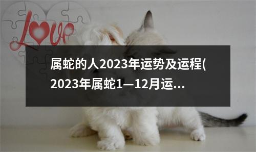 属蛇的人2023年运势及运