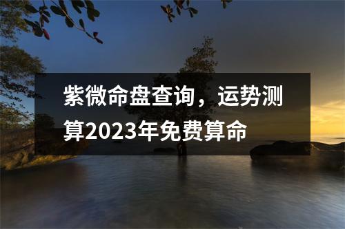 紫微命盘查询，运势测算2023年免费算命