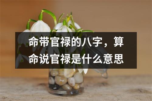 命带官禄的八字，算命说官禄是什么意思