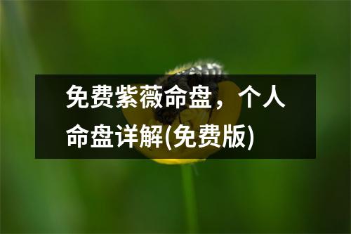 免费紫薇命盘，个人命盘详解(免费版)