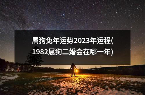 属狗兔年运势2023年运程(1982属狗二婚会在哪一年)