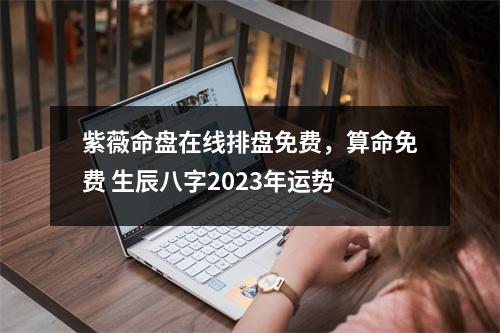 紫薇命盘在线排盘免费，算命免费 生辰八字2023年运势