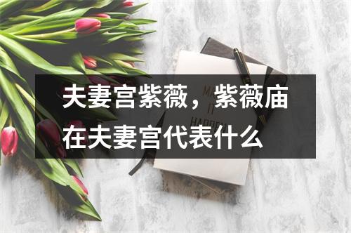 夫妻宫紫薇，紫薇庙在夫妻宫代表什么