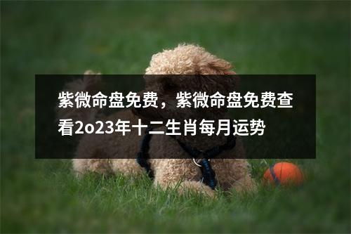 紫微命盘免费，紫微命盘免费查看2o23年十二生肖每月运势