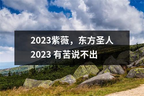 2023紫薇，东方圣人2023 有苦说不出