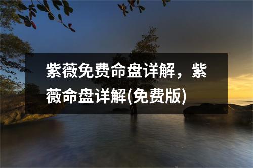 紫薇免费命盘详解，紫薇命盘详解(免费版)