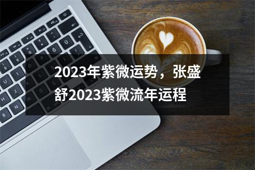 2023年紫微运势，张盛舒2023紫微流年运程