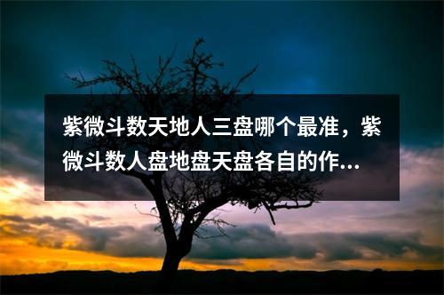 紫微斗数天地人三盘哪个准，紫微斗数人盘地盘天盘各自的作用