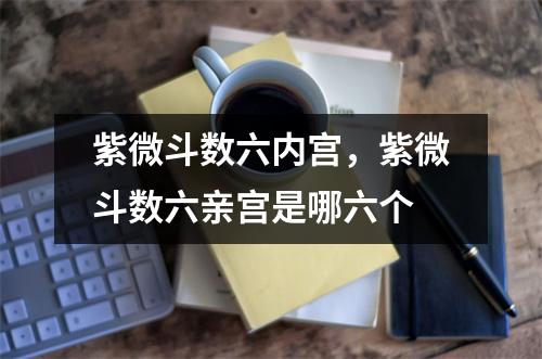 紫微斗数六内宫，紫微斗数六亲宫是哪六个