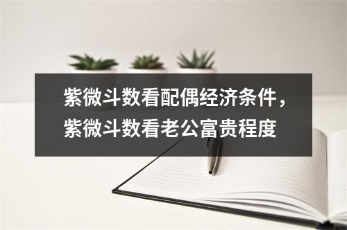 紫微斗数看配偶经济条件，紫微斗数看老公富贵程度