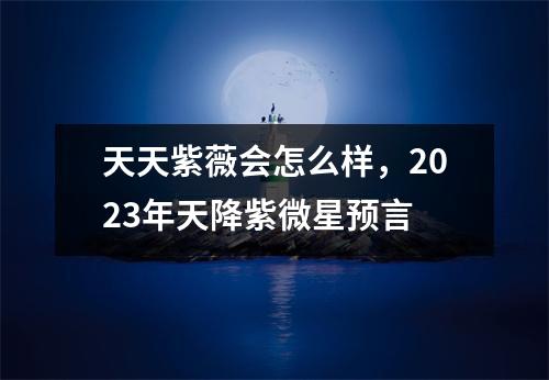 天天紫薇会怎么样，2023年天降紫微星预言