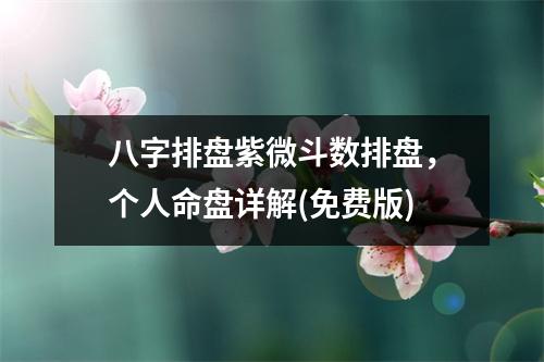 八字排盘紫微斗数排盘，个人命盘详解(免费版)