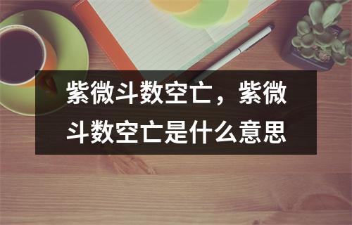 紫微斗数空亡，紫微斗数空亡是什么意思