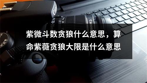 紫微斗数贪狼什么意思，算命紫薇贪狼大限是什么意思