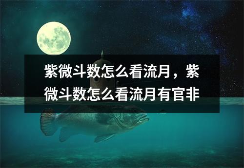 紫微斗数怎么看流月，紫微斗数怎么看流月有官非